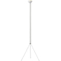 Thumbnail photo of Luminator Floor Lamp 1