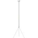 Luminator Floor Lamp 1