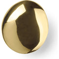 Thumbnail photo of Chanterelle Hook - Knager - Brass - W6 X H7 X D4 Cm