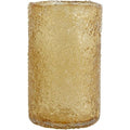 Thumbnail photo of Clyde Vaz Large - Rao