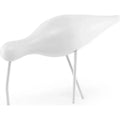 Thumbnail photo of Shorebird White
