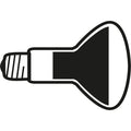Thumbnail photo of Bulb Led 13w (1180lm) R125 2700k E27 Greenplux