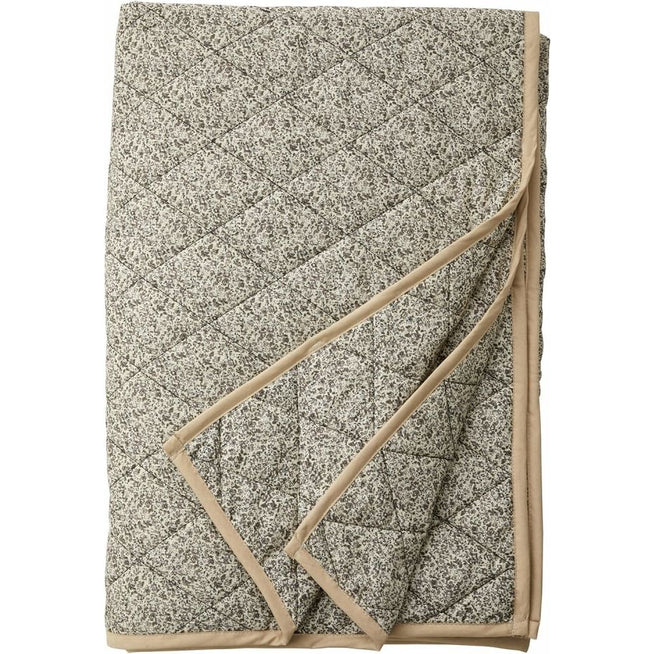 Photo of Agena Plaid