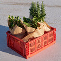 Thumbnail photo of Colour Crate, Medium 26.5x34.5 Cm