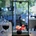 Thumbnail photo of Curiosity 36 Table Lamp Black/brown