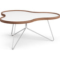 Flower Table 84x90 Cm White, 39cm, Walnut Edge