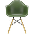 Eames Plastic Armchair Daw - 48 Forest - Golden Maple - Matstolar - Charles & Ray Eames - Grön - Metall/trä/plast