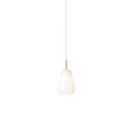 Thumbnail photo of Anoli 1 Pendant Small