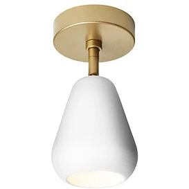 Anoli Spot Surface Wall/ceiling Lamp