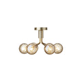 Thumbnail photo of Apiales 6 Ceiling Lamp Brushed