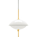 Thumbnail photo of Clam Pendant Lamp