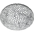 Thumbnail photo of Calipso Wall/Ceiling Lamp 3000k - Wall Lamps - Neil Poulton - White