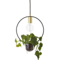Thumbnail photo of Hanging Lamp Gold Finished Glass