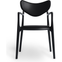 Salon Chair