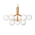 Apiales 9 Chandelier Brushed
