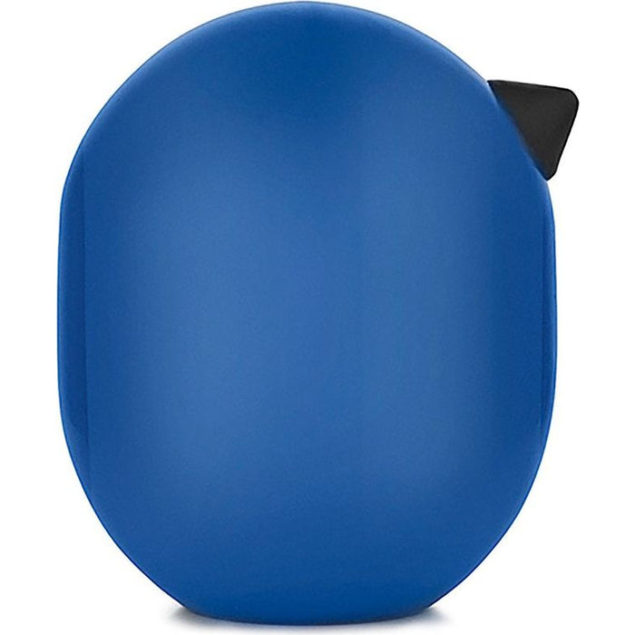 Photo of Little Bird Colour