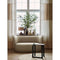 Thumbnail photo of Contour Decoration