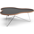 Thumbnail photo of Flower Table 107x114 Cm Black, 39cm