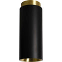 Tobo C65 Ceiling Lamp Black