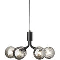 Thumbnail photo of Apiales 6 Chandelier