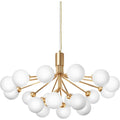 Thumbnail photo of Apiales 18 Chandelier Brushed Brass/opal White