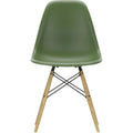 Eames Plastic Chair Dsw - 48 Forest - Ash Honey Tone - Matstolar - Charles & Ray Eames - Grön - Metall/trä/plast