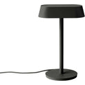 Linear Table Lamp