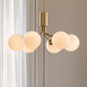 Apiales 6 Chandelier