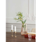 Thumbnail photo of Collect SC59 Candleholder