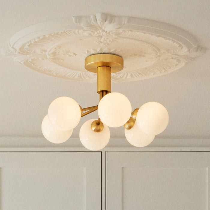 Photo of Apiales 6 Chandelier