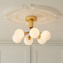 Apiales 6 Chandelier