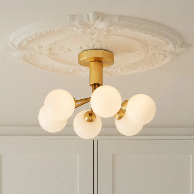 Photo of Apiales 6 Chandelier