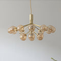 Thumbnail photo of Apiales 18 Chandelier