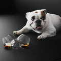 Thumbnail photo of Liqueur Glasses 2-pack Set Of Two