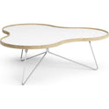 Flower Table 107x114 Cm H39 Cm