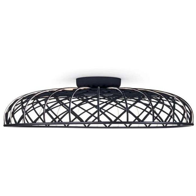 Photo of Skynest C Wall-/ceiling Lamp 1