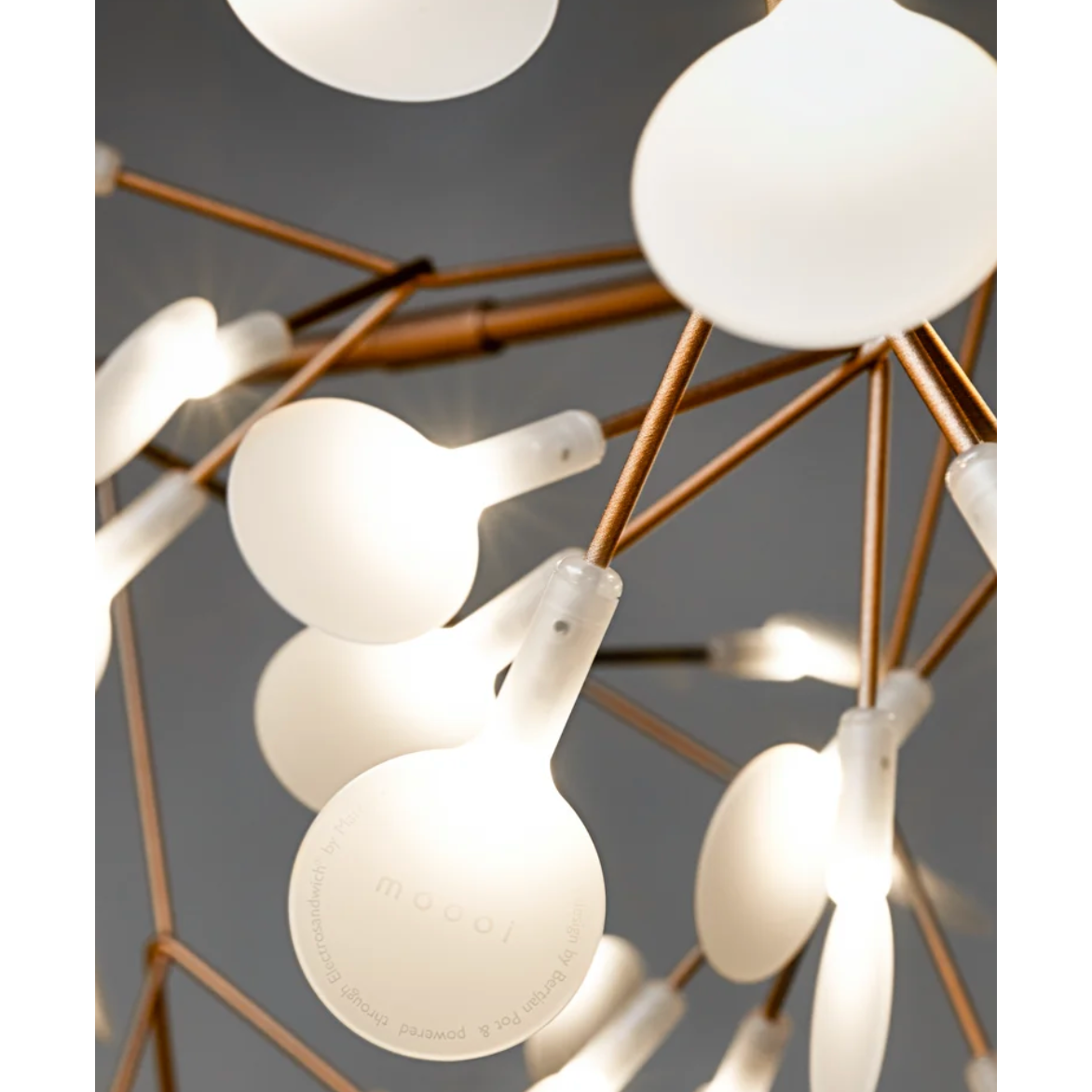 Heracleum III Suspended Pendant Lamp