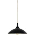 Thumbnail photo of 1965 Pendant Lamp