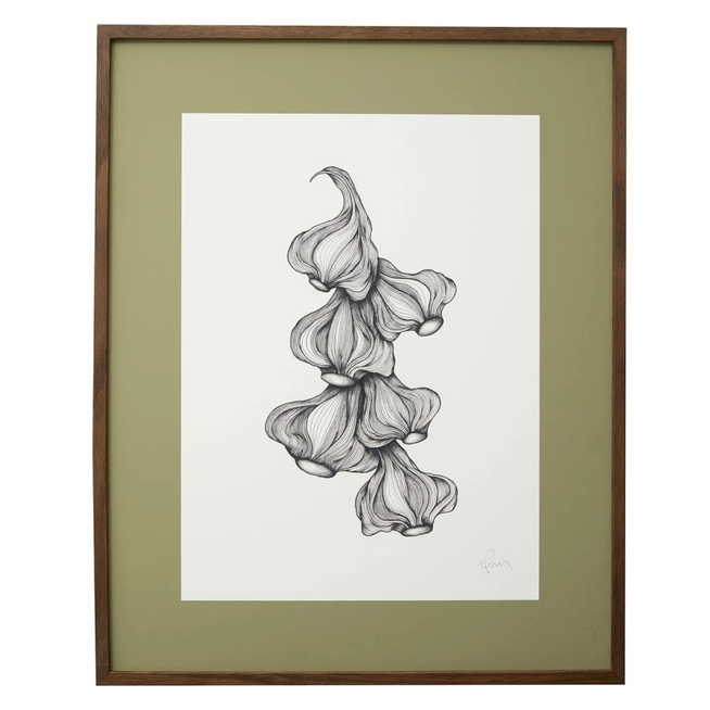 Photo of Garlic Illustration - Dark Oak