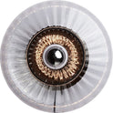 New Wave Optic Wall Lamp 1