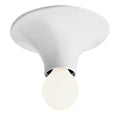 Thumbnail photo of Teti Ceiling Lamp/wall Lamp