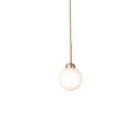 Thumbnail photo of Apiales 1 Pendant