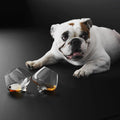 Thumbnail photo of Liqueur Glasses 2-pack