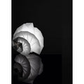 Thumbnail photo of In-A Mendori BirdSlampa - Bourdslampore - Issei Miyake - Vit