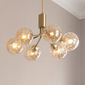 Apiales 6 Chandelier