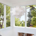 Thumbnail photo of Taraxacum 1 Pendant Lamp