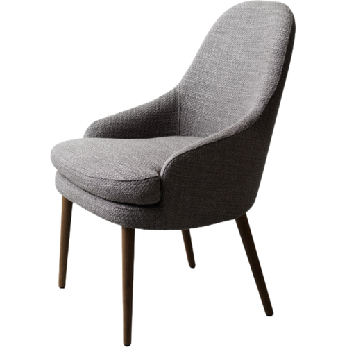 Photo of Aston 06 Wood Lounge Chair