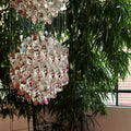 Thumbnail photo of Spiral Sp01 Pendant Silver - Pendant Lamps