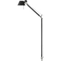Thumbnail photo of Tolomeo Reading Floor Lamp