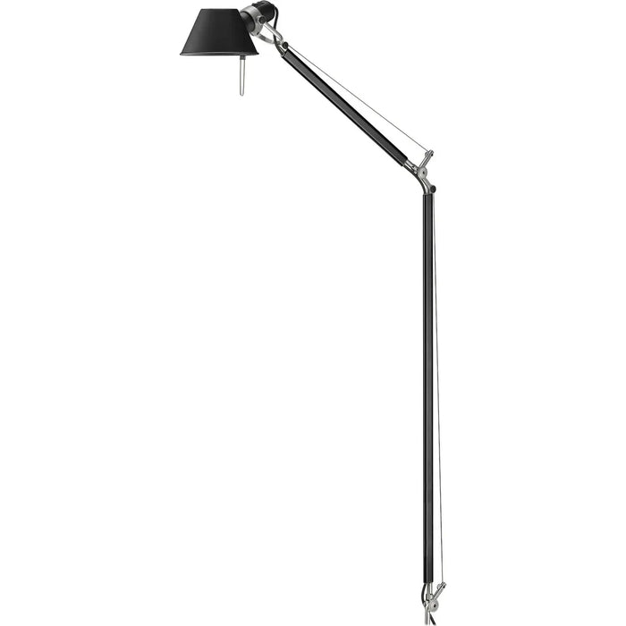 Photo of Tolomeo Reading Floor Lamp
